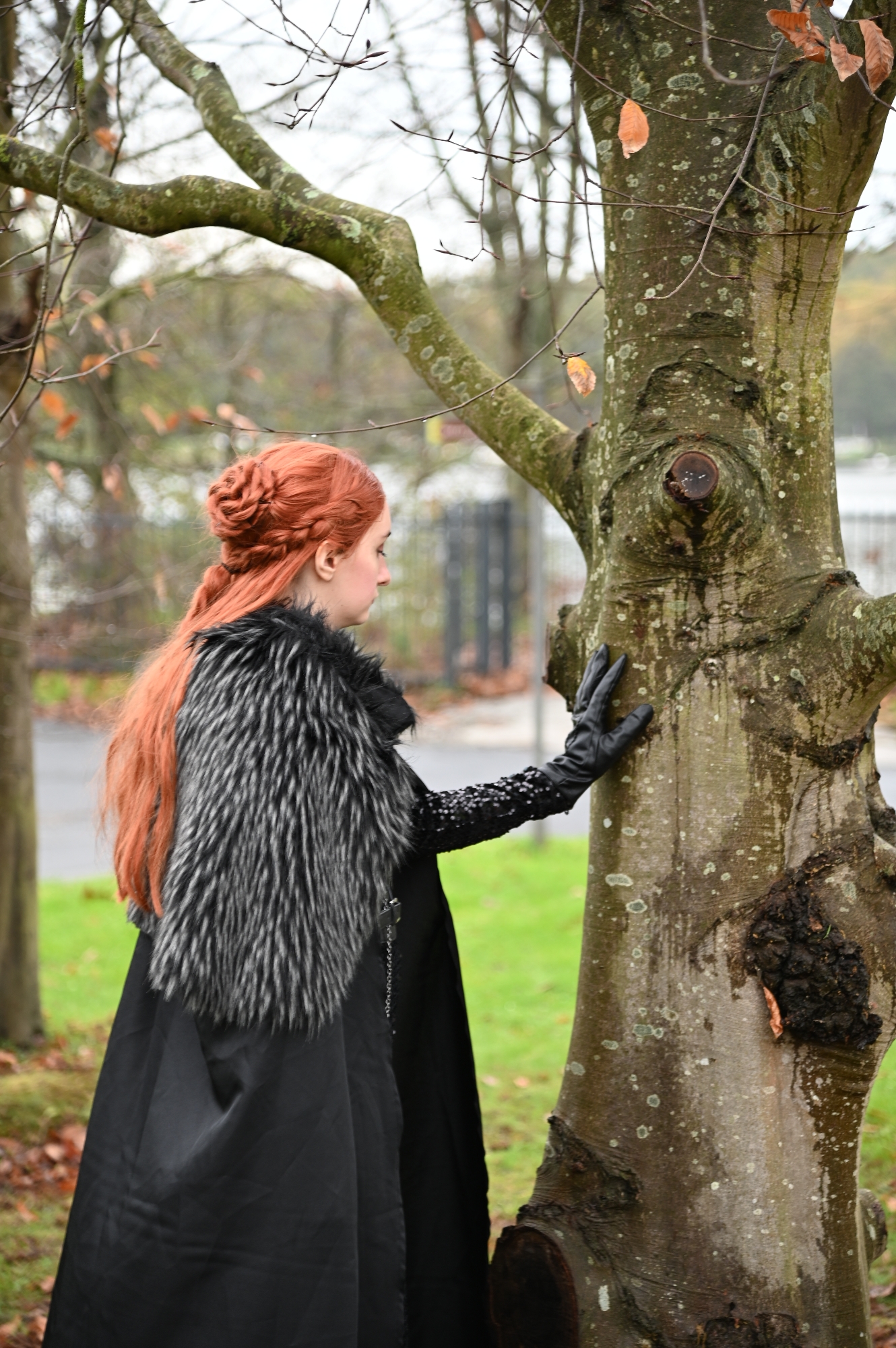 Sansa Stark — photo 24