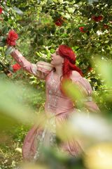 Ariel preview 2
