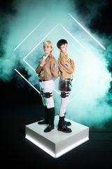 Erwin preview 2