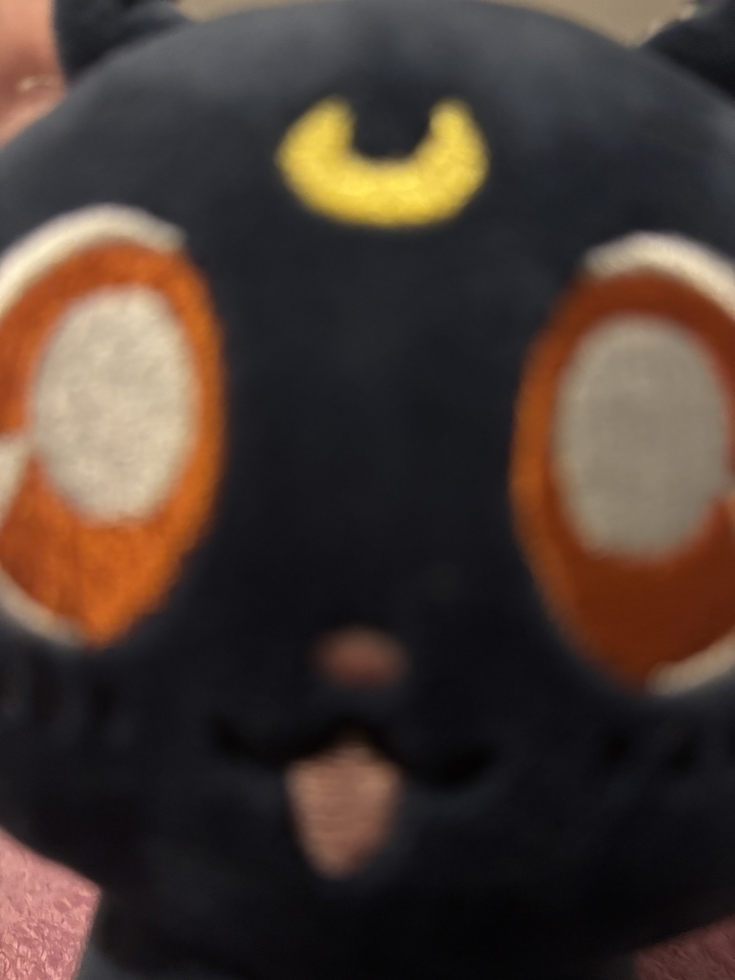 Chat (Sailor moon) - Photo 6