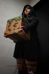 Enderman - shooting 1 preview 3