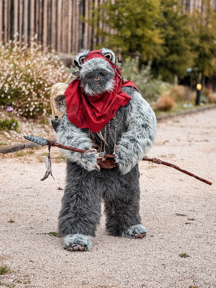 Un Ewok À Vitrolles - Photo 2