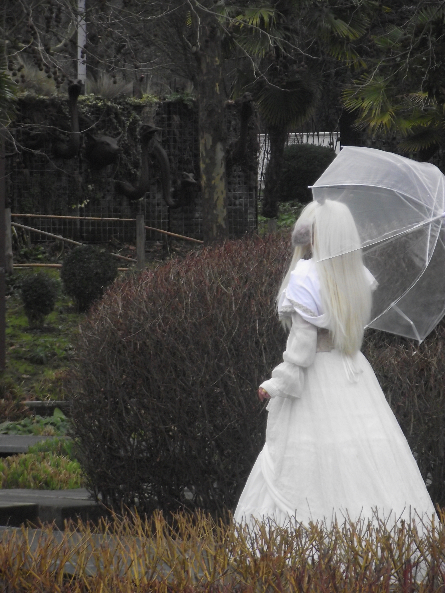 Noelle — photo 14