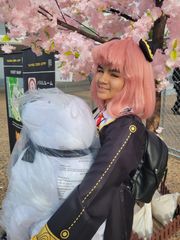 Taiyou Con 2025 preview 3