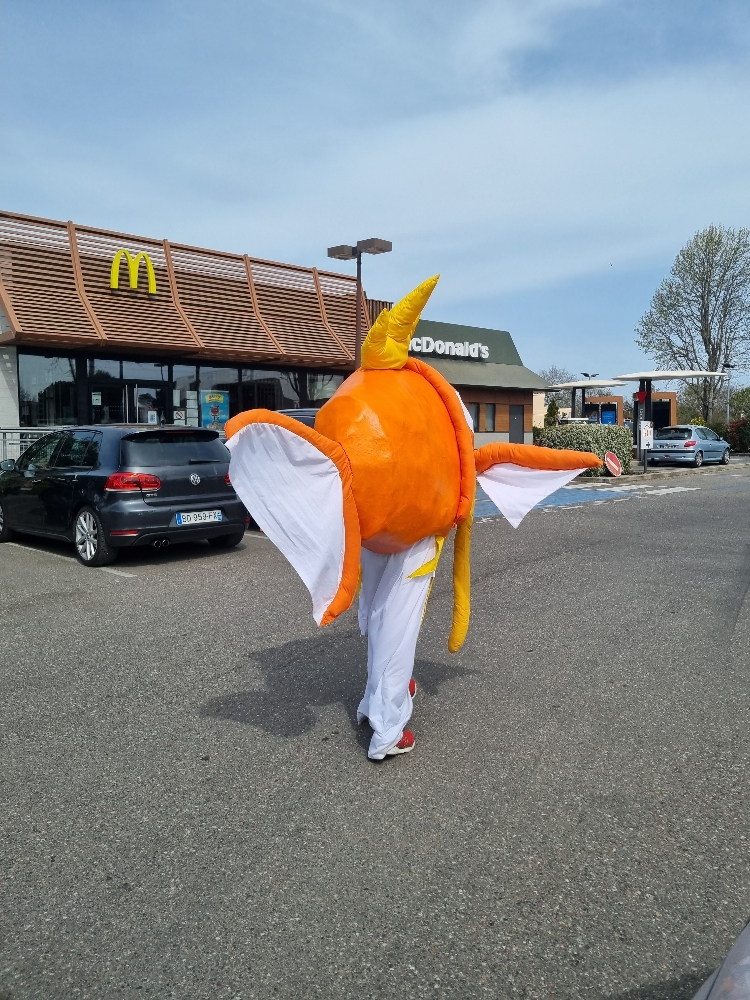 Magicarpe à Macdo - Photo 14