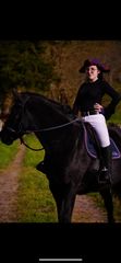 Frollo Cheval preview 2