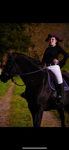 Frollo Cheval