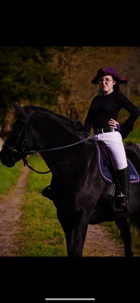 Mayu0204 - Frollo Cheval