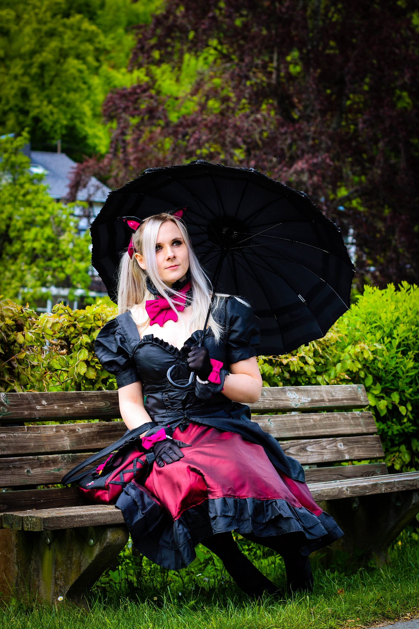 Black Cat DVA — photo 12