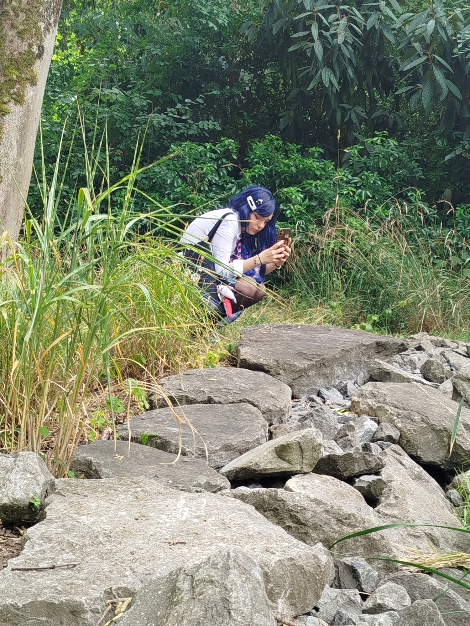 An — photo 9
