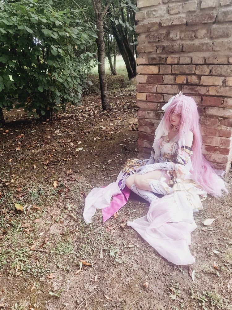 Elysia (Bailleul) — photo 12