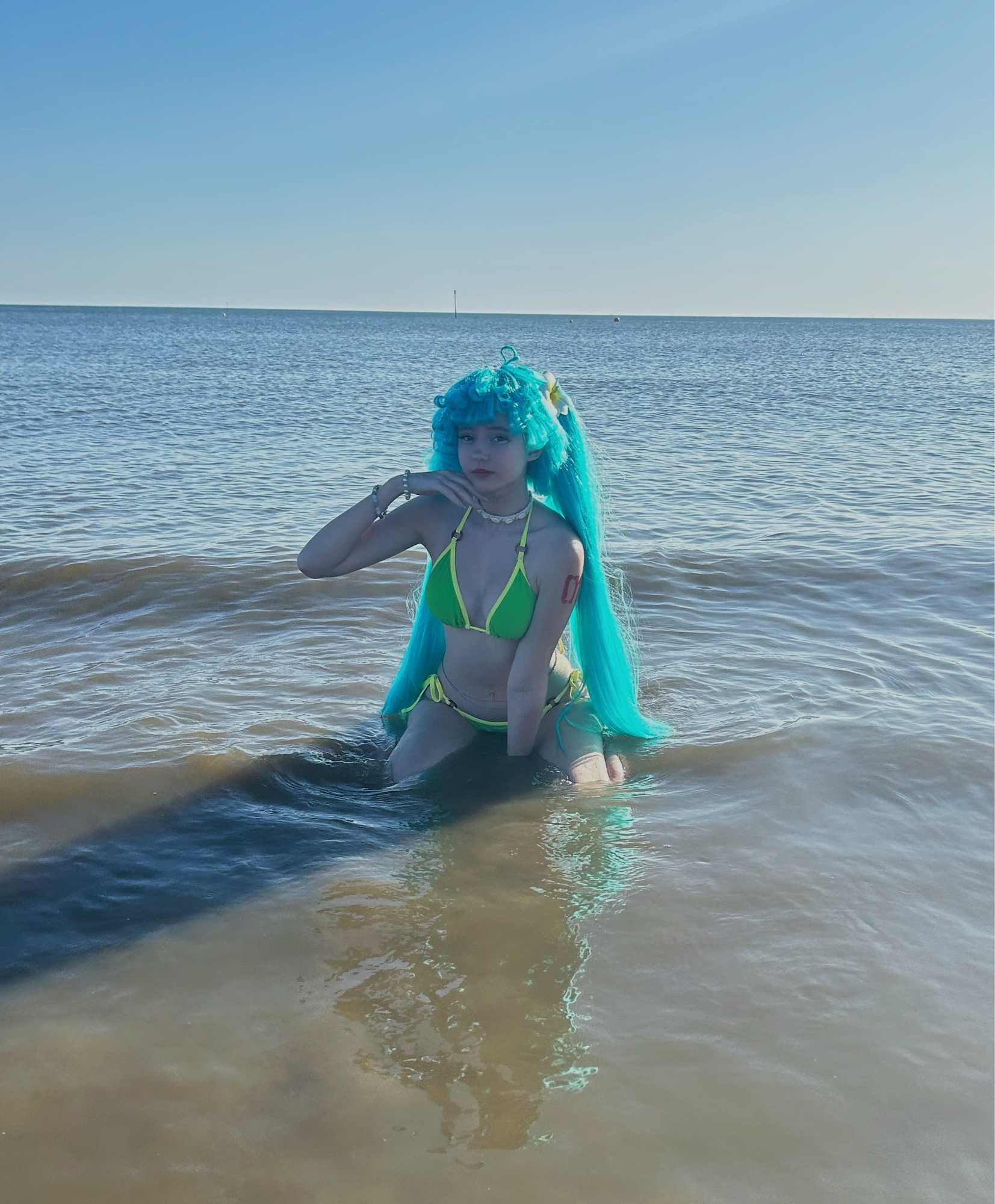 Brazilian Miku — photo 8