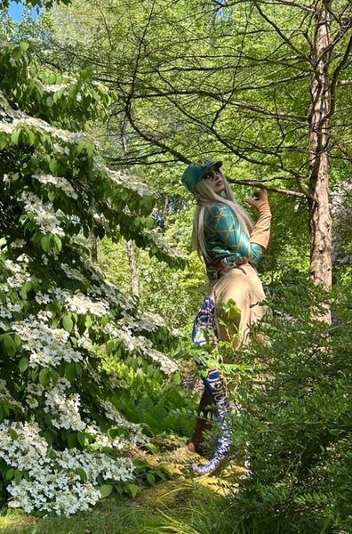 Pr._cos - Diego brando