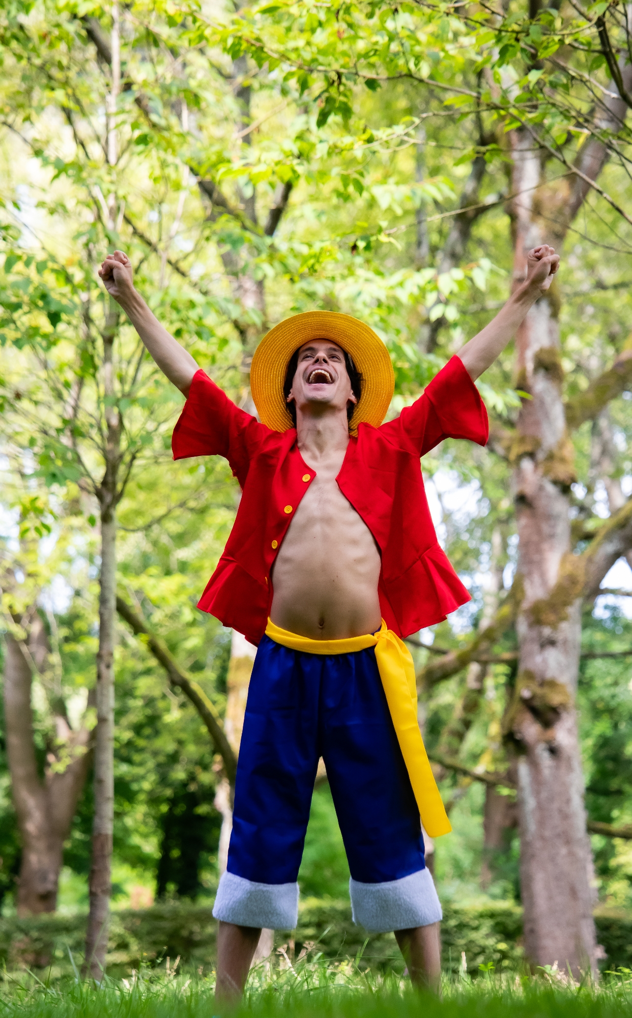 Monkey D Luffy — photo 8