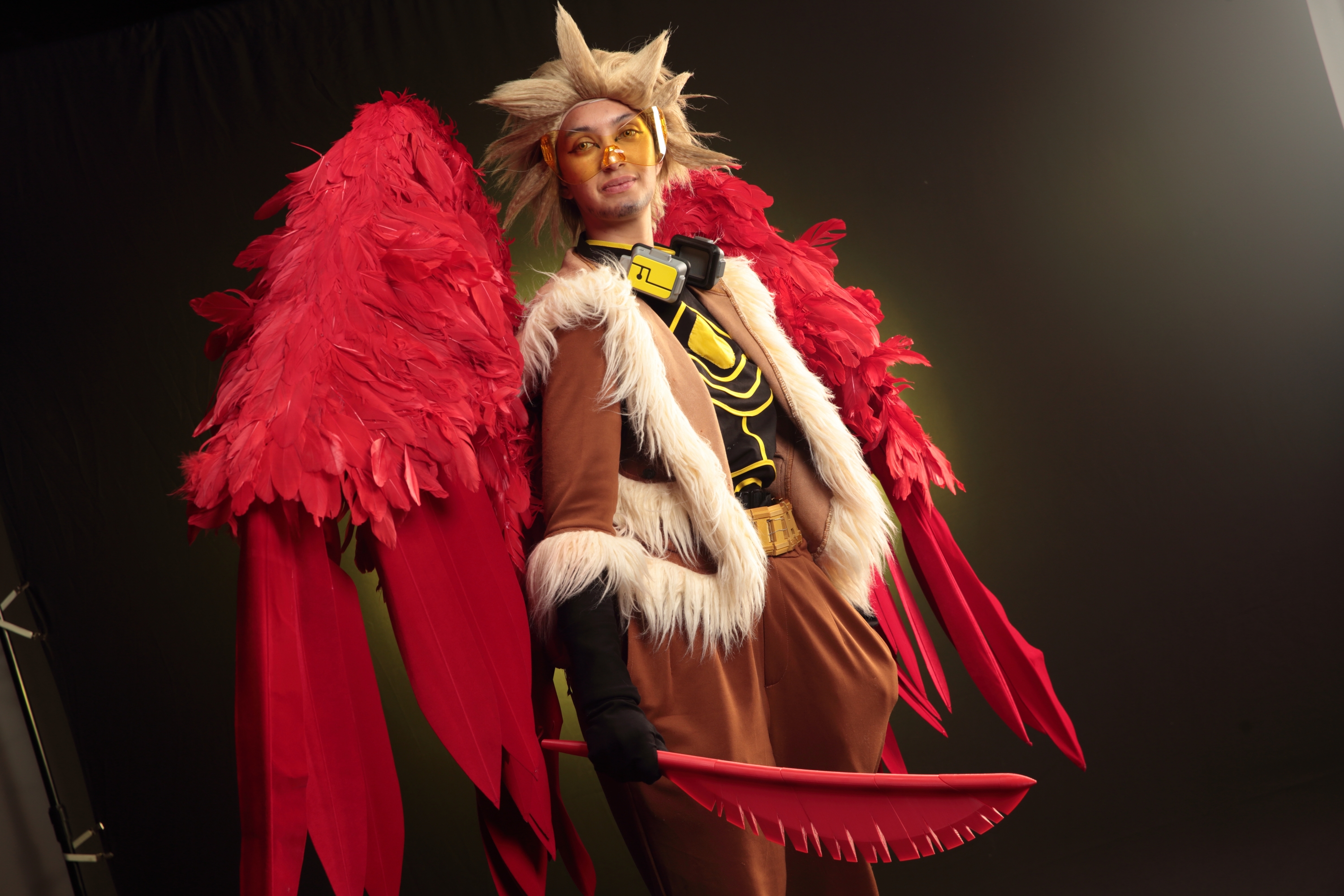 Hawks — photo 59
