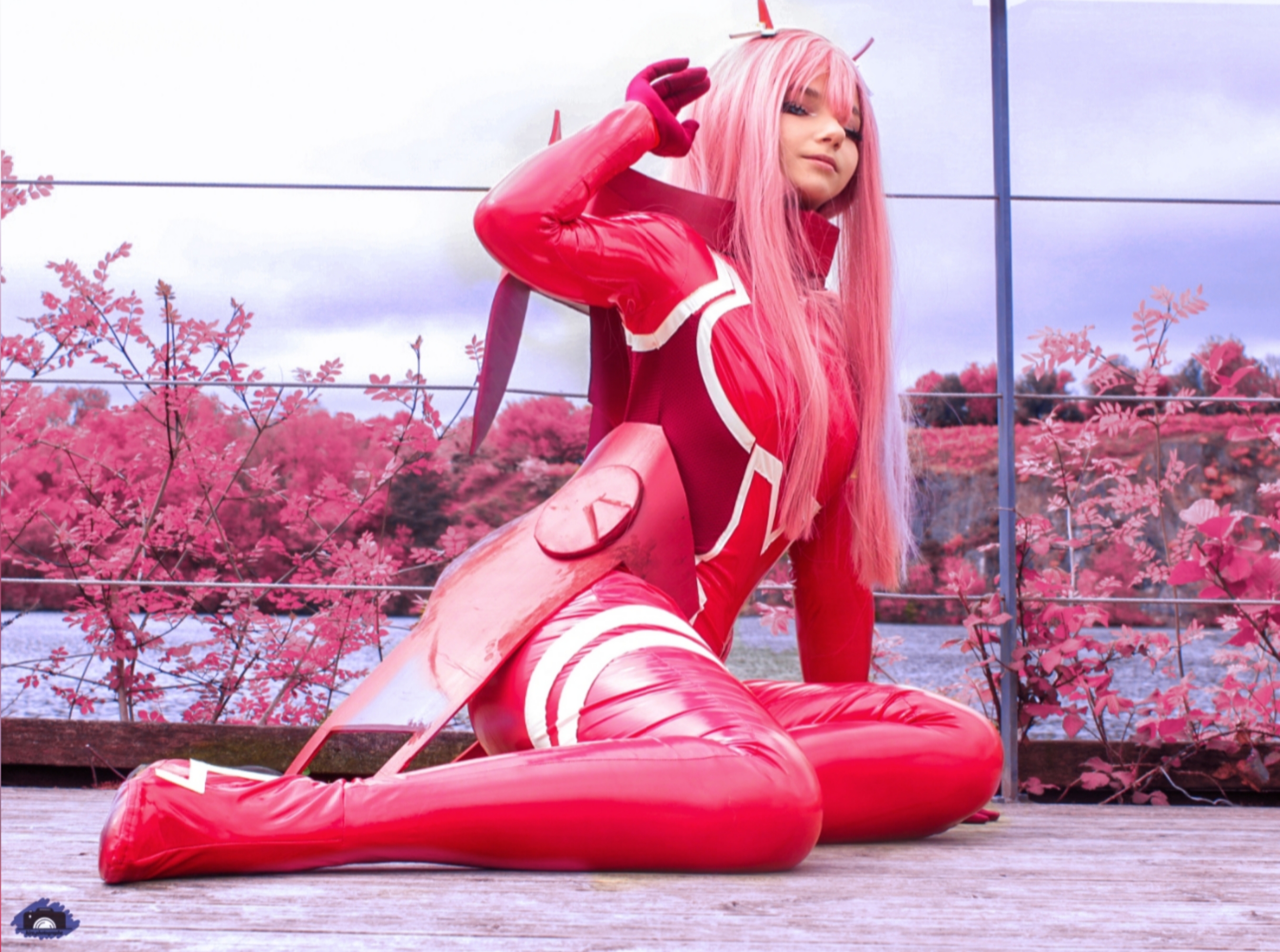 02 japanantes - Photo 1