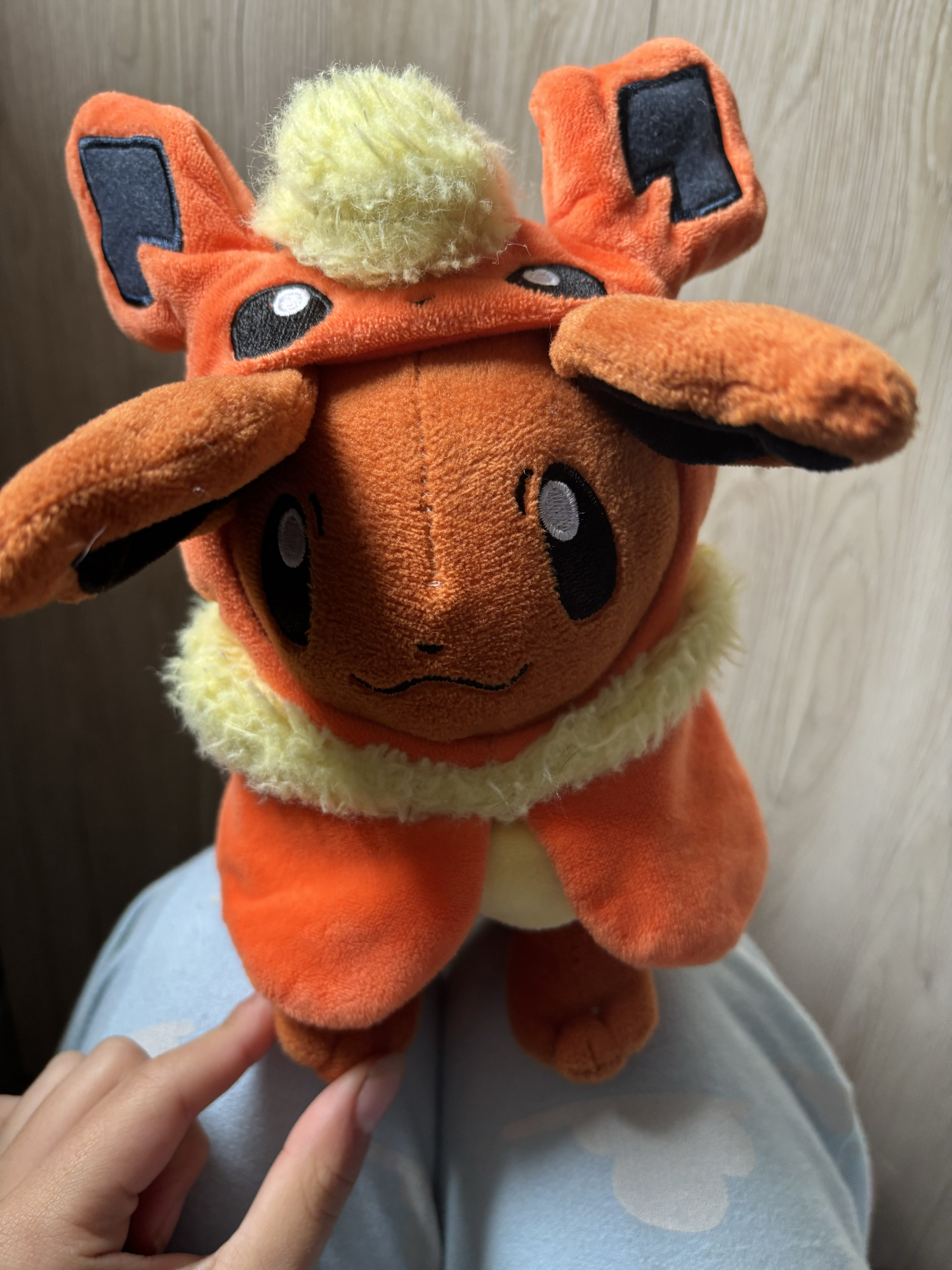 Evoli en Pyroli  - Photo 11