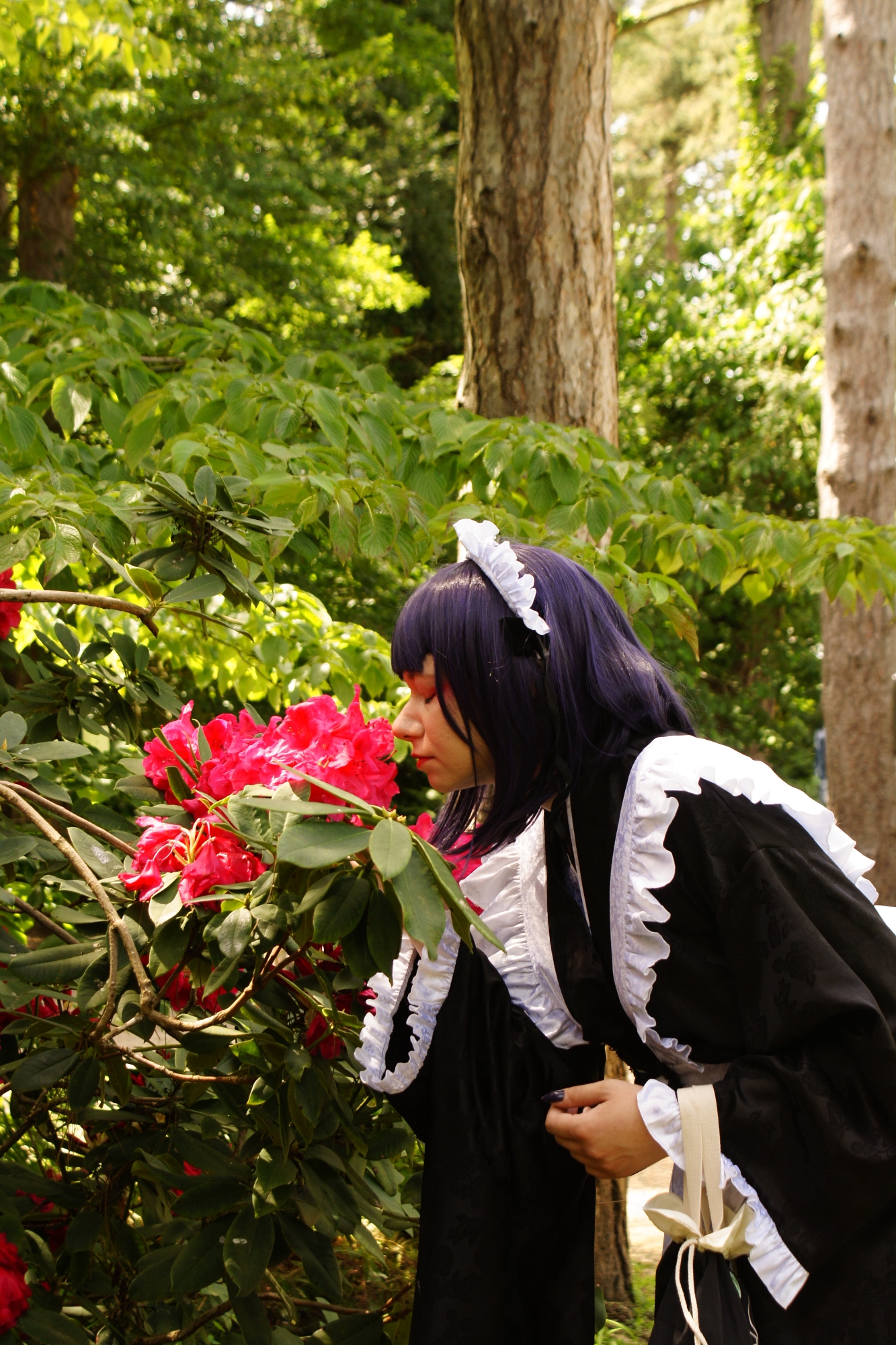 Japan Party — photo 8