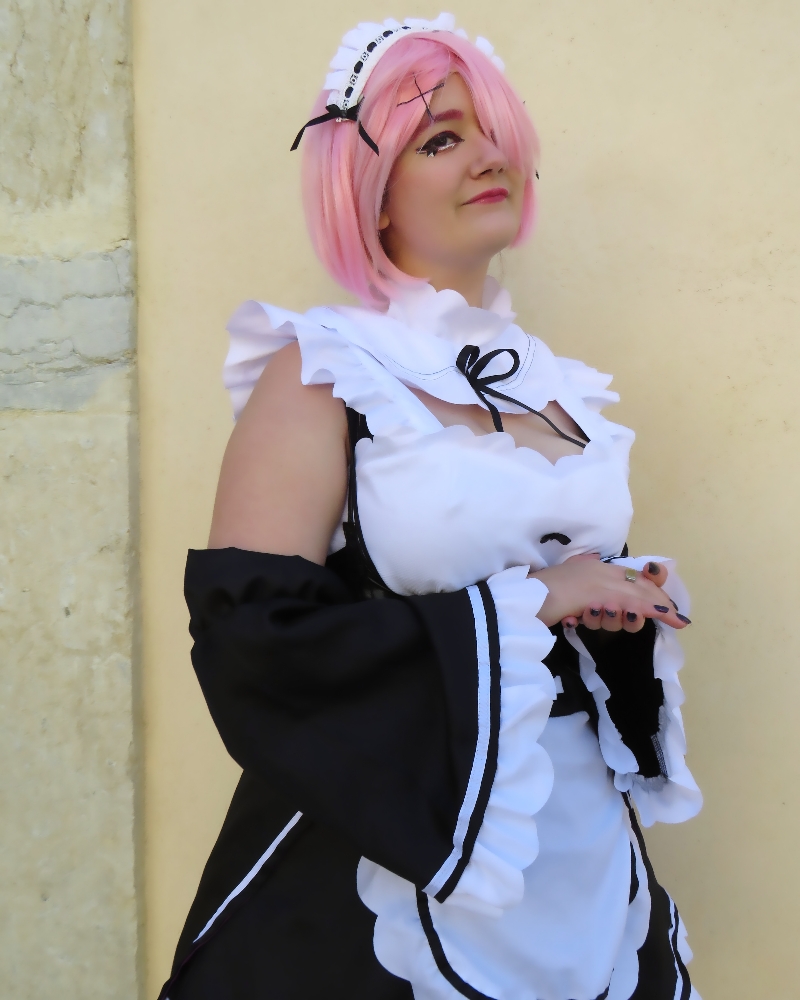 Ram et Rem — photo 6