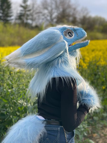 Fursymphony - Fleurs de colza ☀️