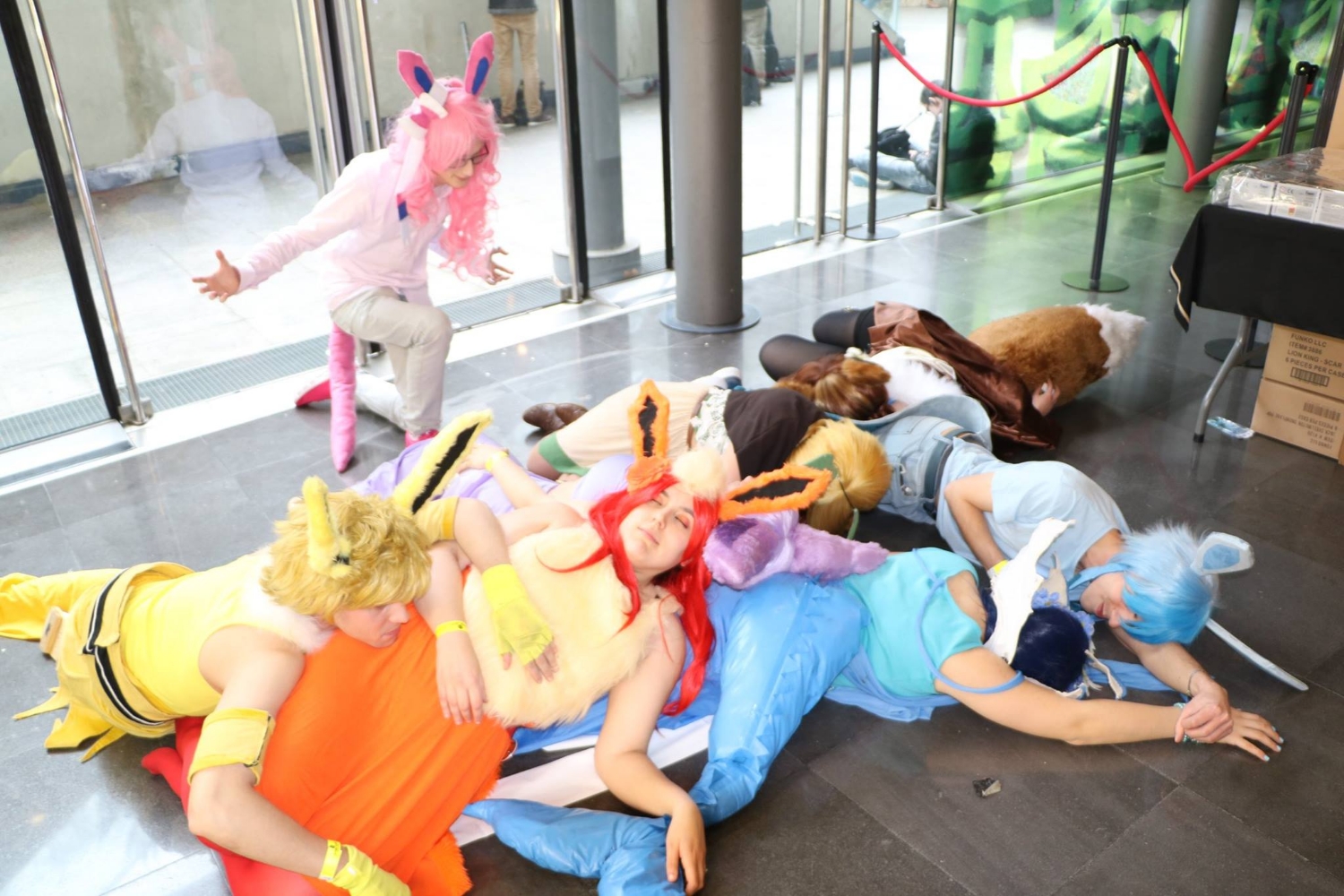 Famille Evoli - Photo 4