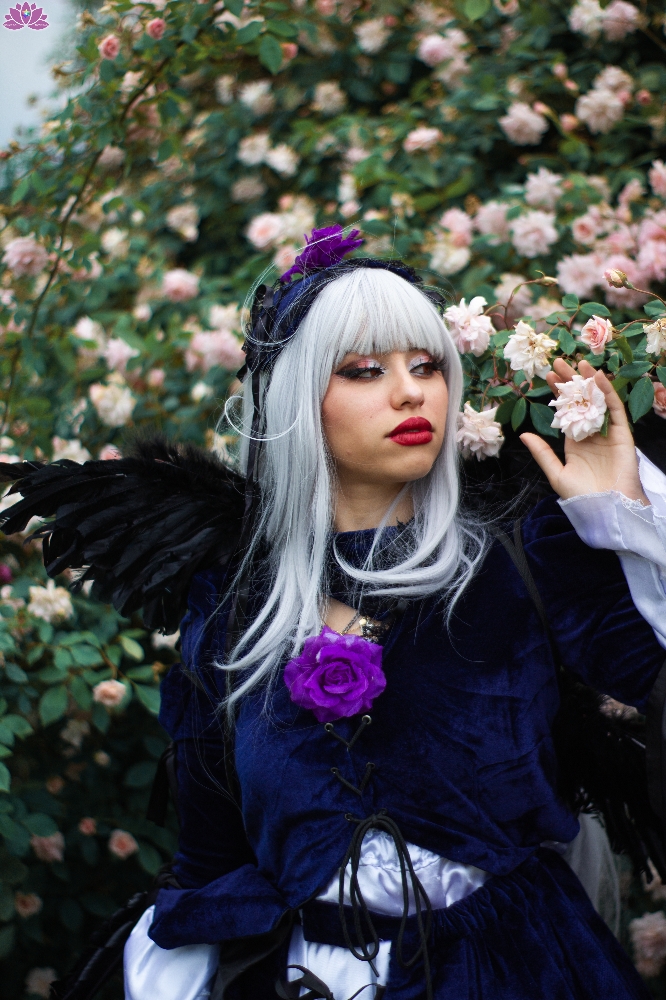 Duo rozen maiden - Photo 9