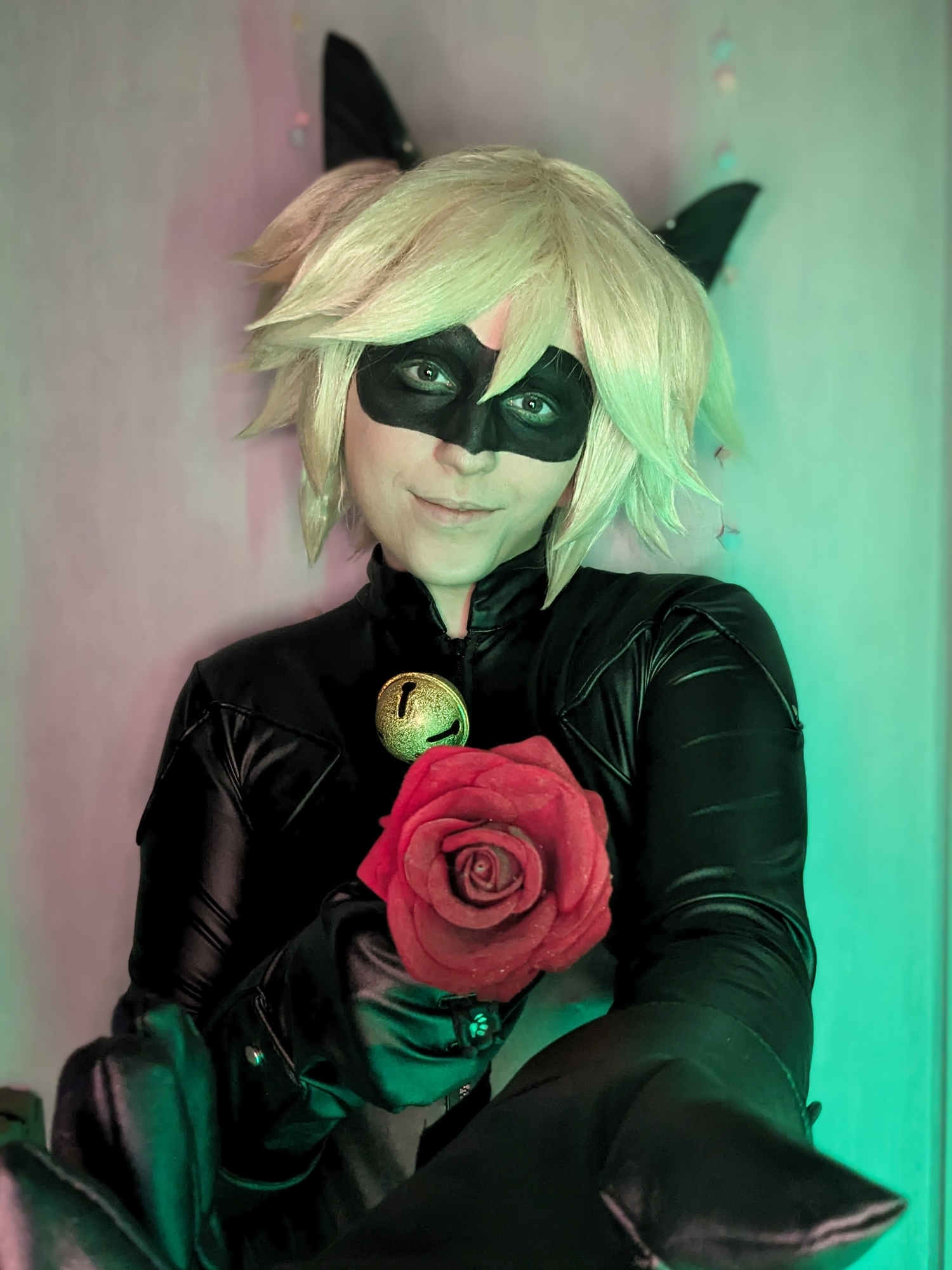 Chat noir — photo 17