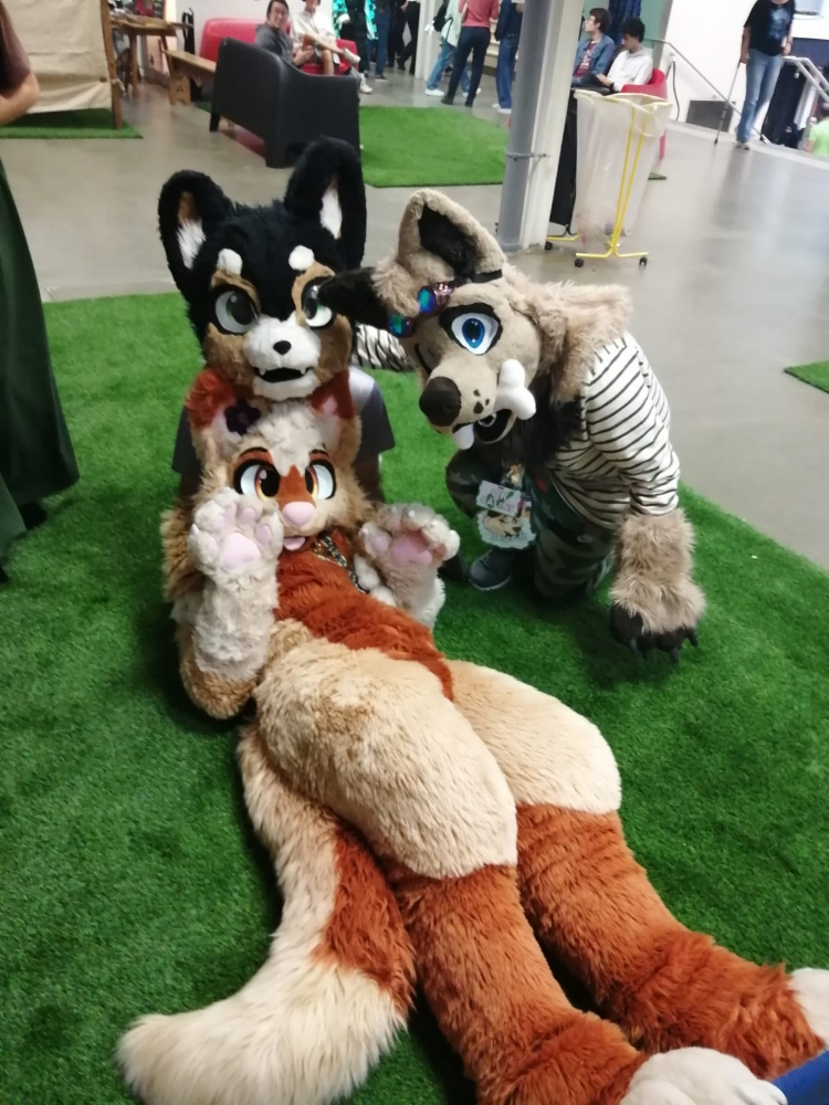 Hashtag festival - Photo 13