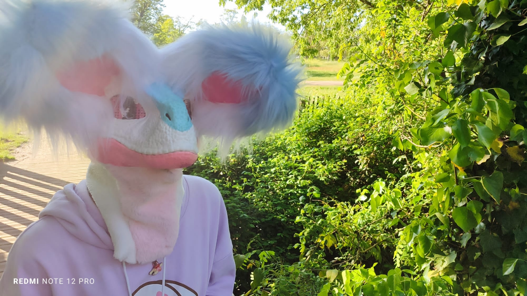 Debut du printemps  - Photo 28