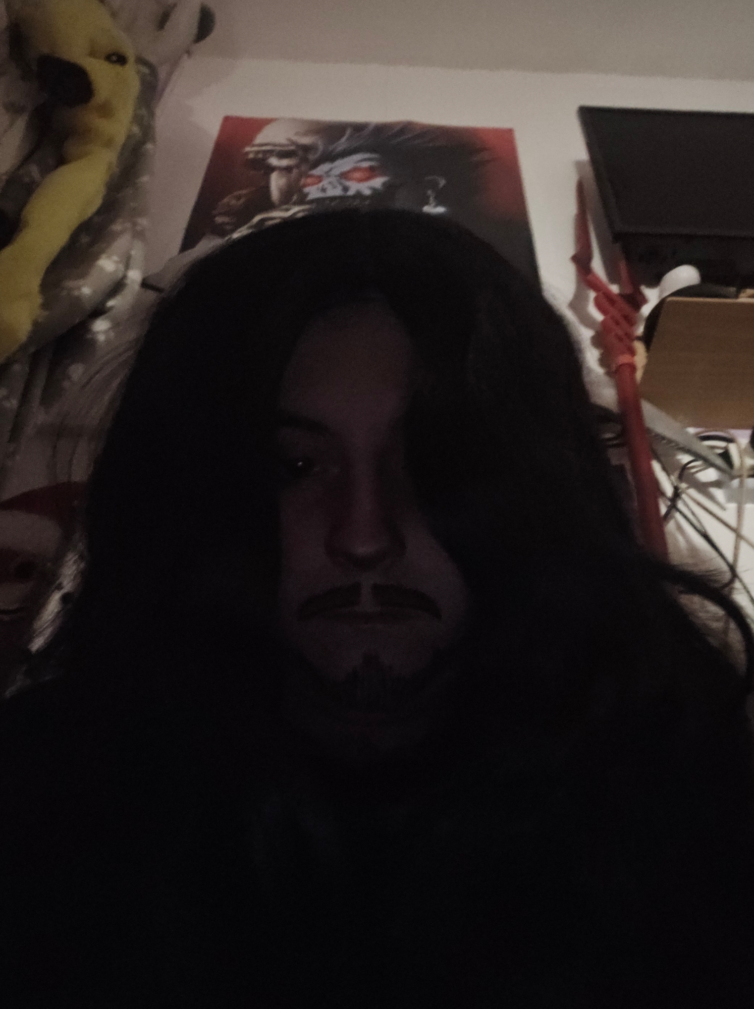 Alucard🦇🩸 — photo 6