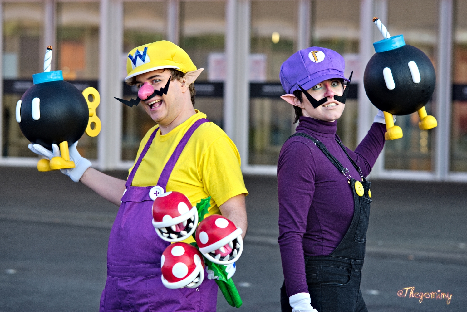 Waluigi — photo 16