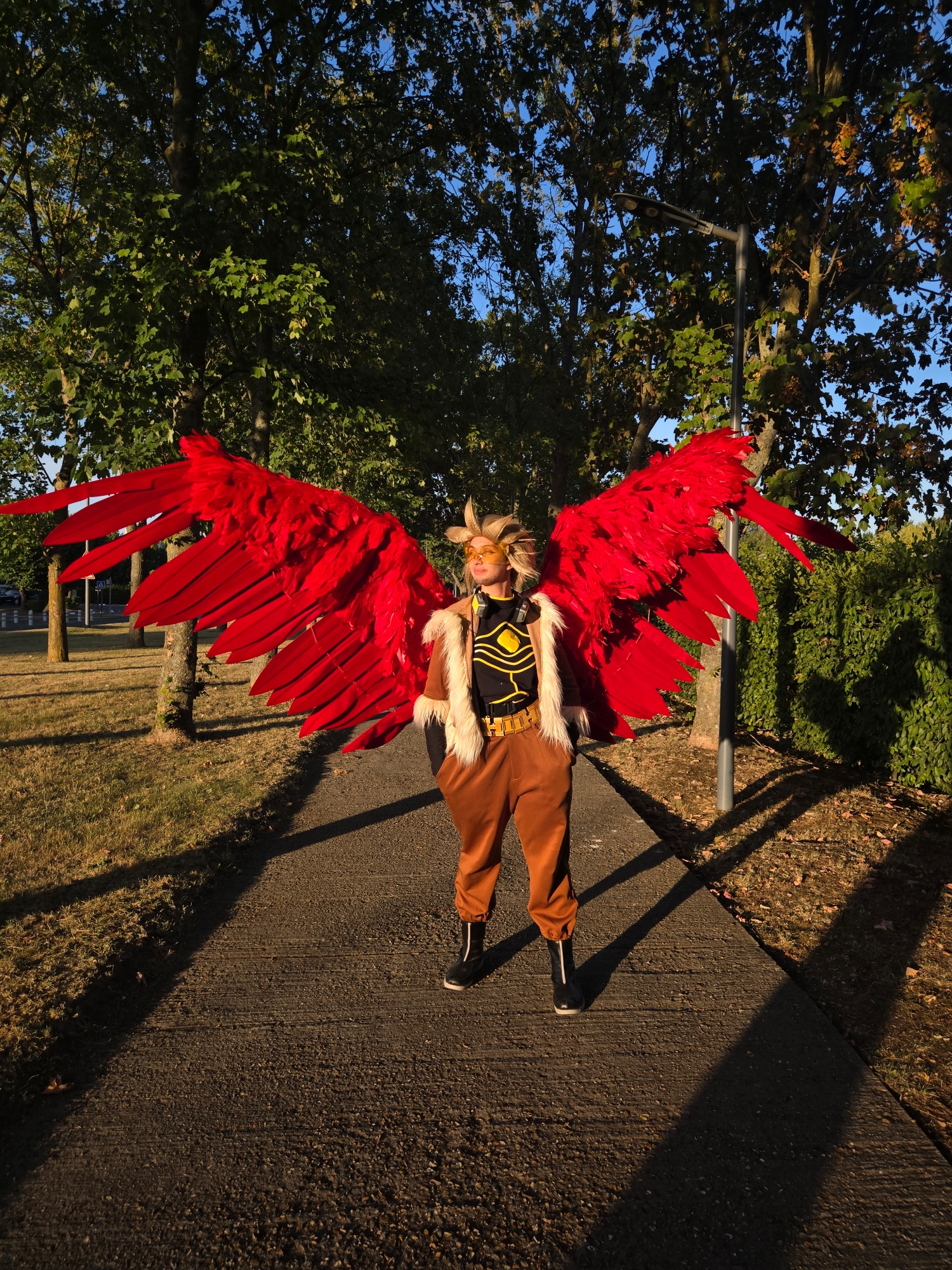 Hawks — photo 177