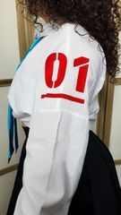 WIP Miku preview 2