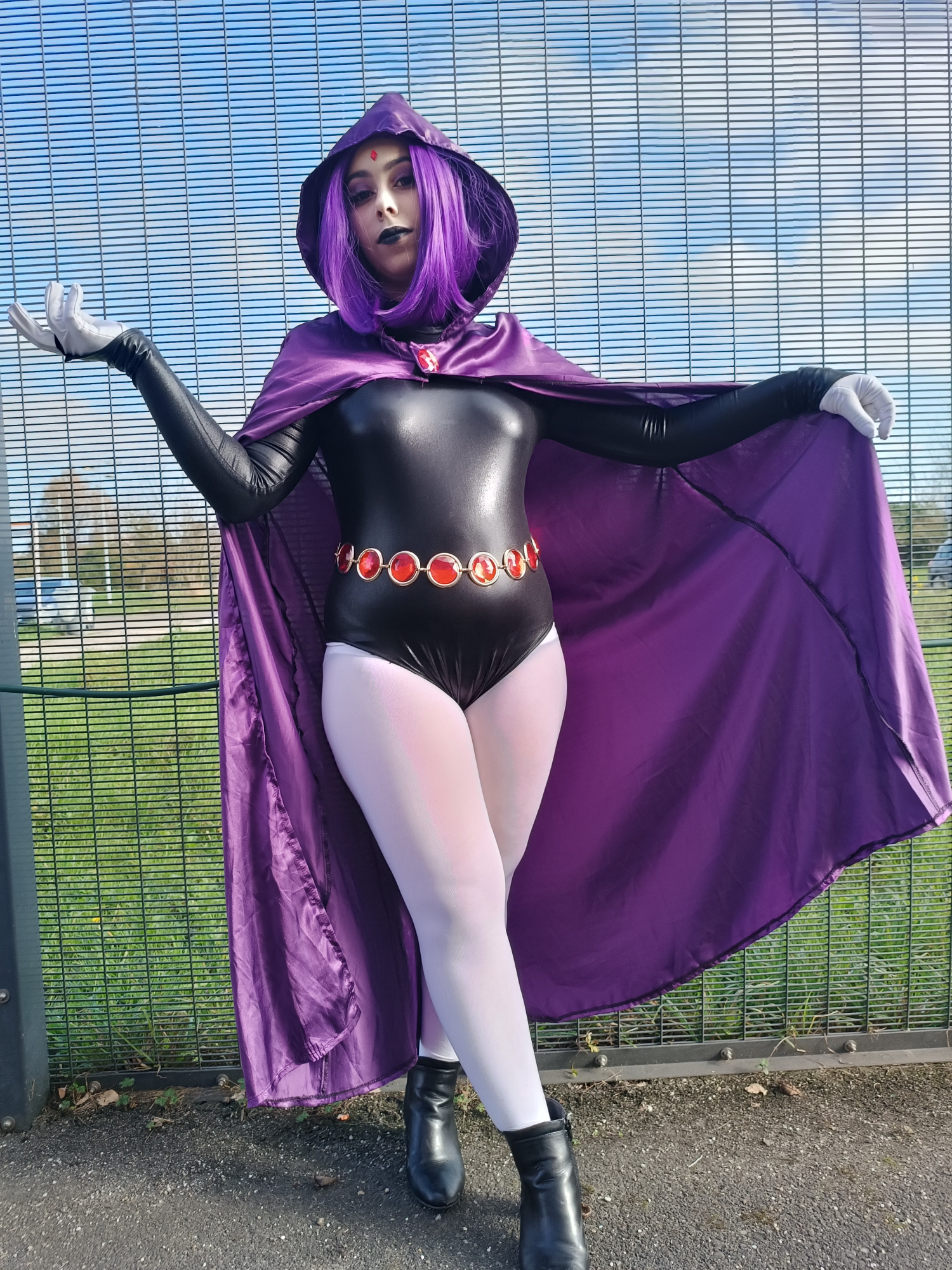Raven — photo 9
