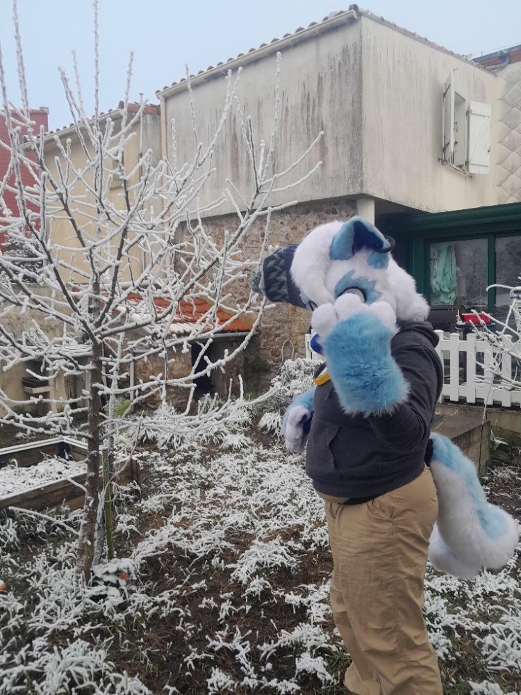 Neige — photo 7