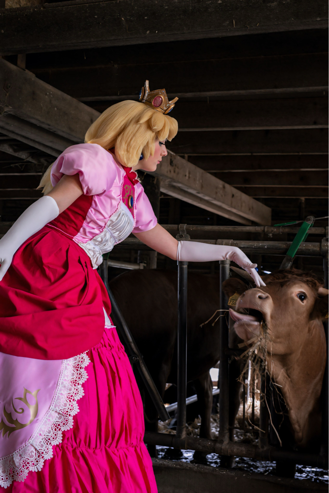 Peach at the farm 🐮 — photo 7