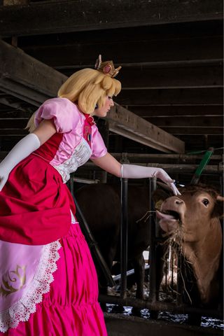 Peach at the farm 🐮