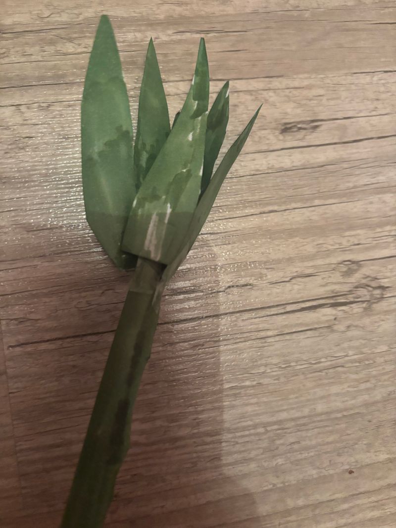 Ai.cosplay – Plante (Mao Mao)