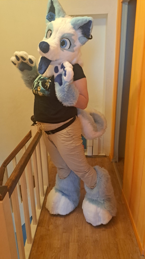 Titan refurb - Photo 4