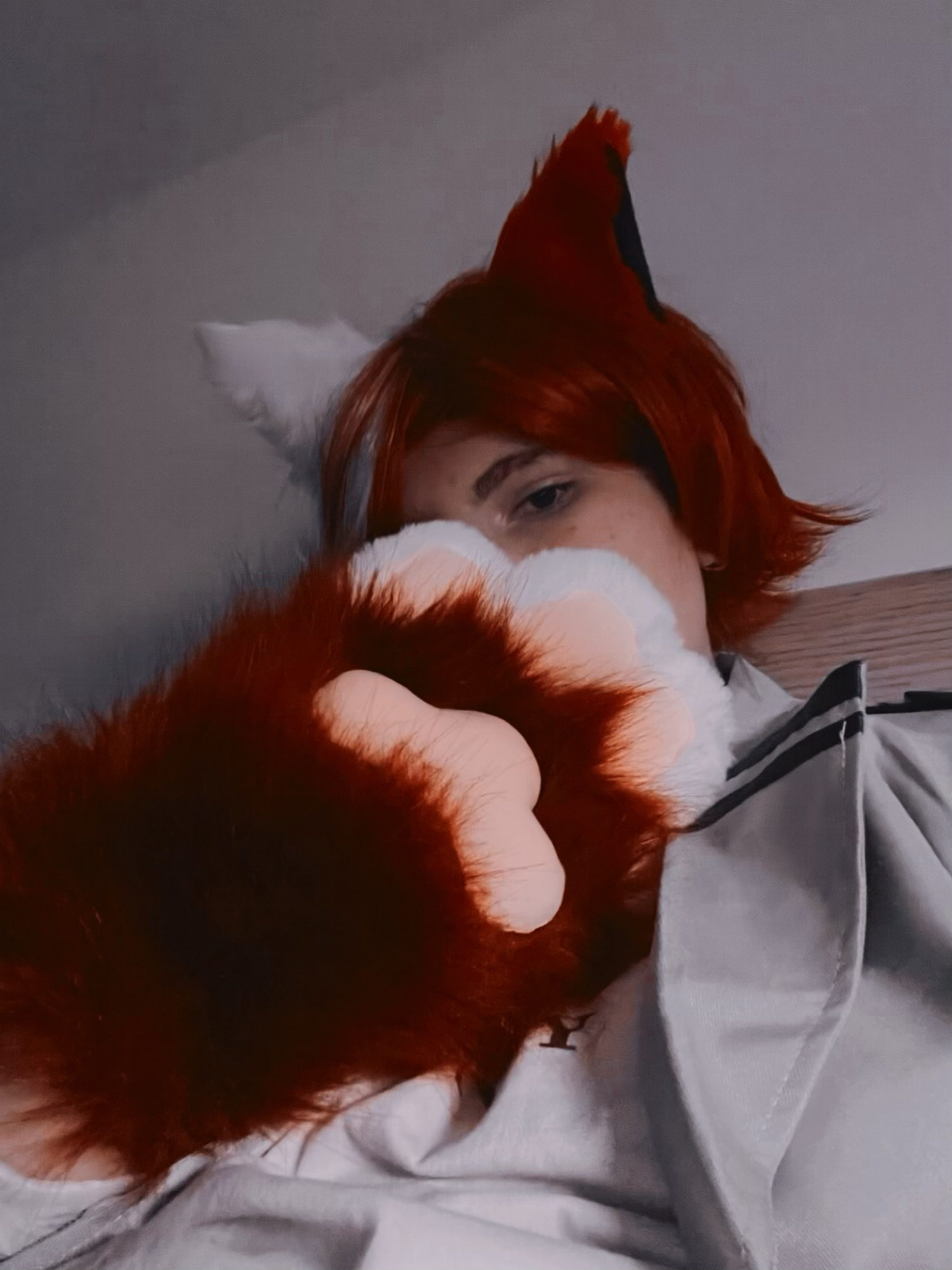 Shoto todoroki chat — photo 10
