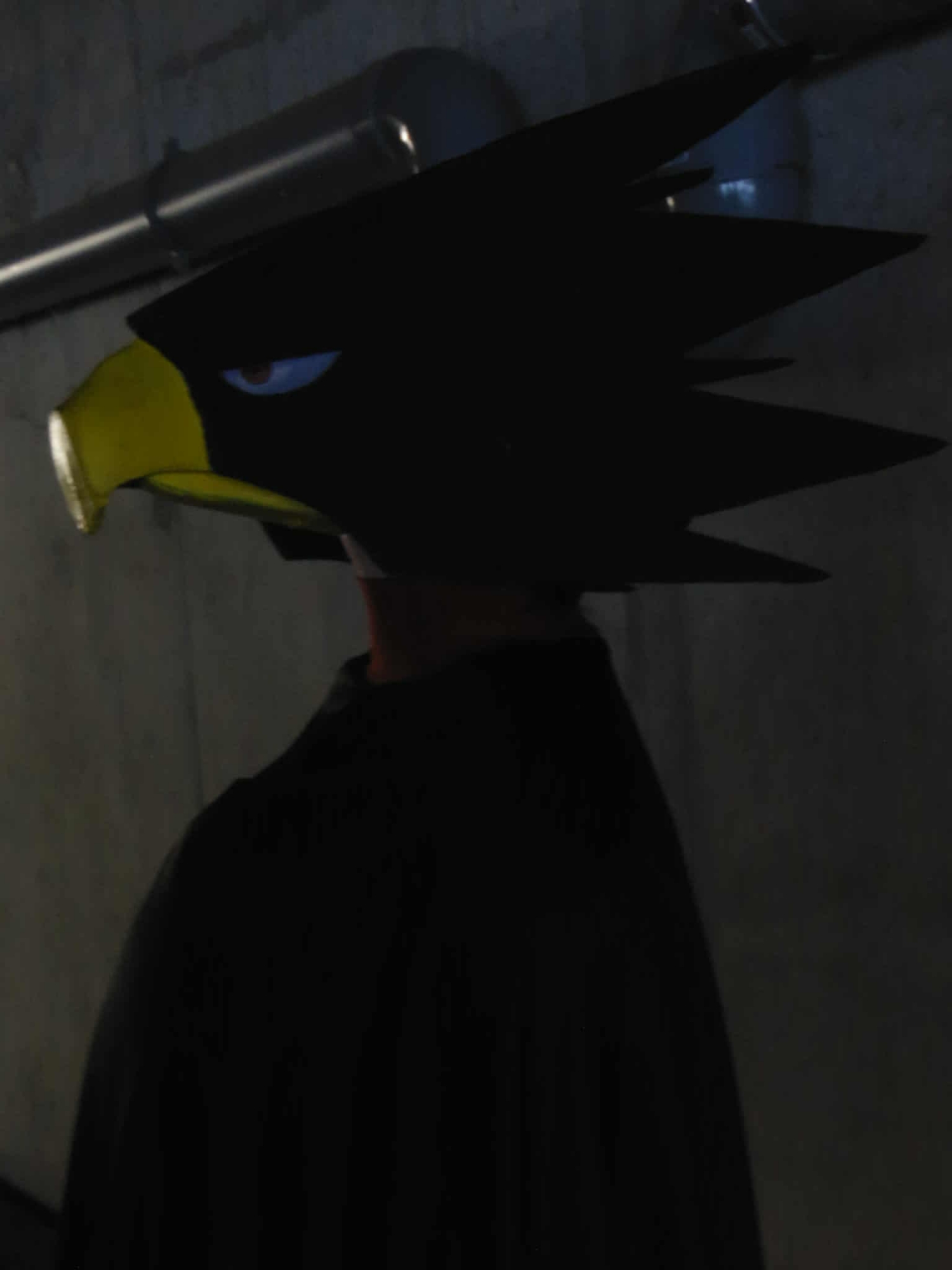 Tokoyami - JapanExpo — photo 6