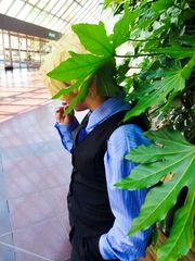 Sanji preview 2