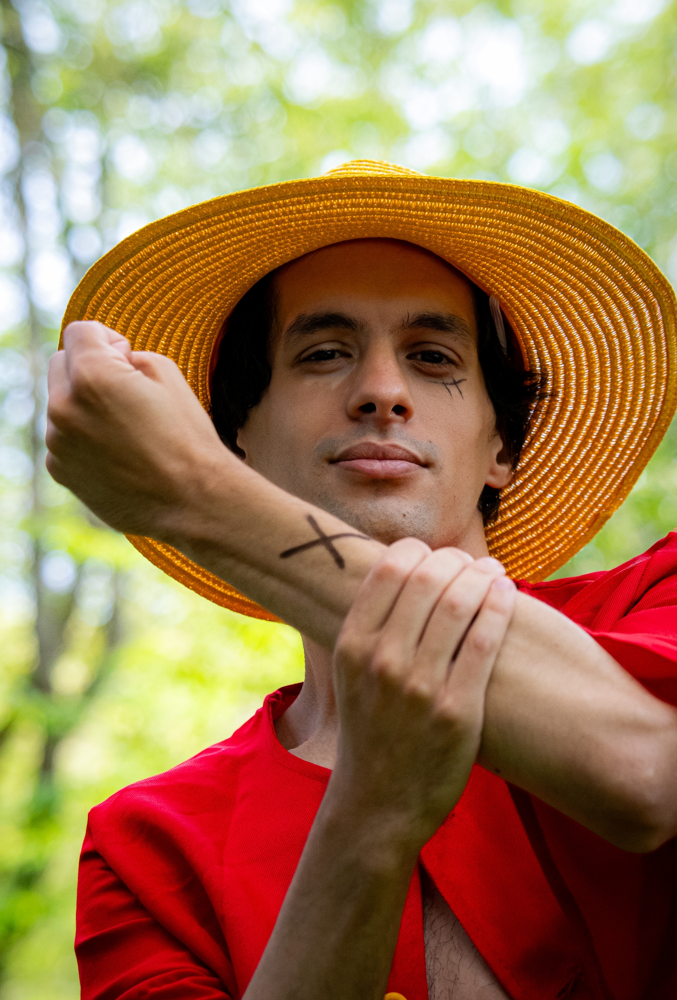 Monkey D Luffy — photo 9