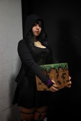 Enderman - shooting 1 preview 2