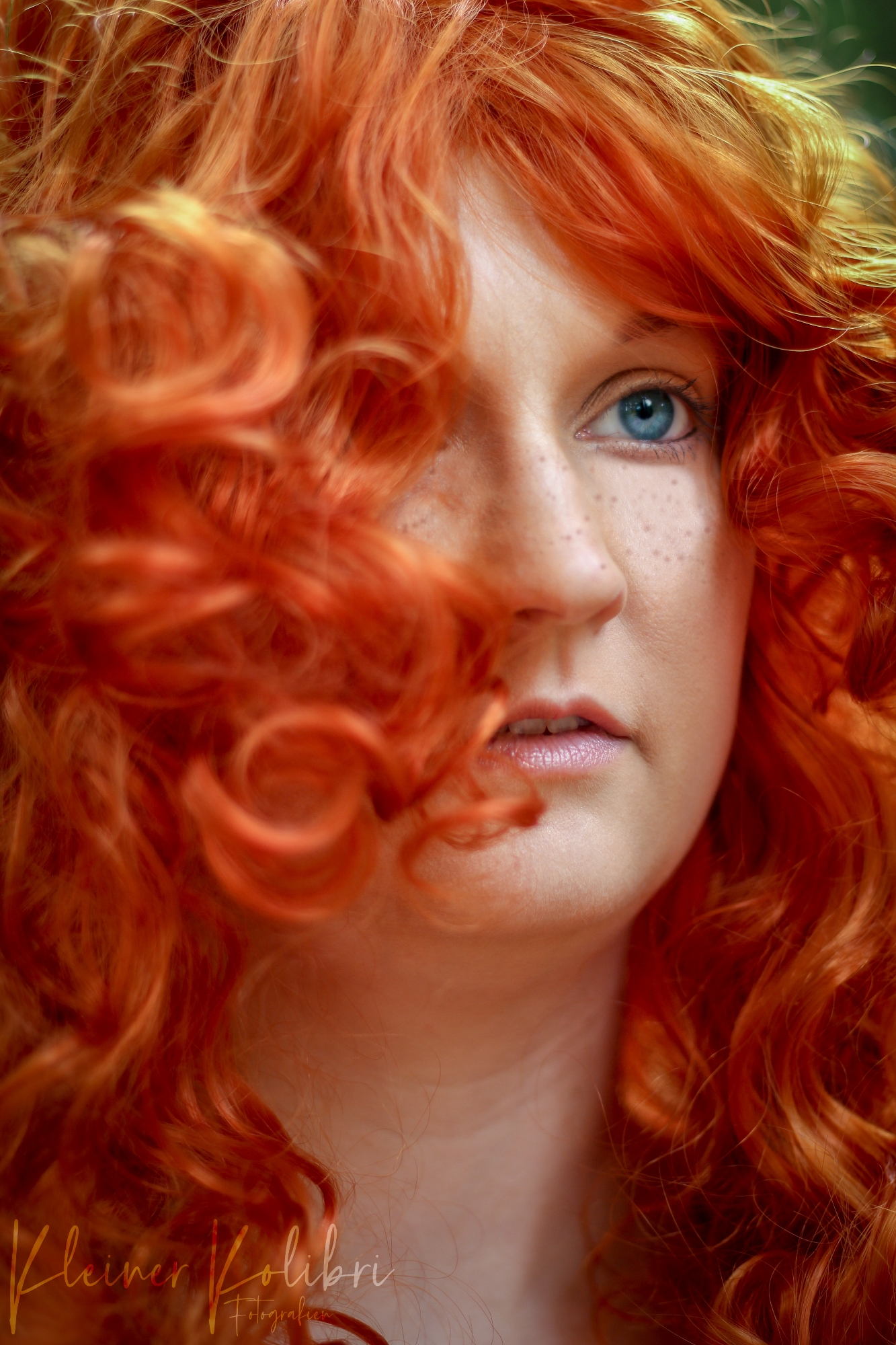 Merida (Disney) - Photo 26