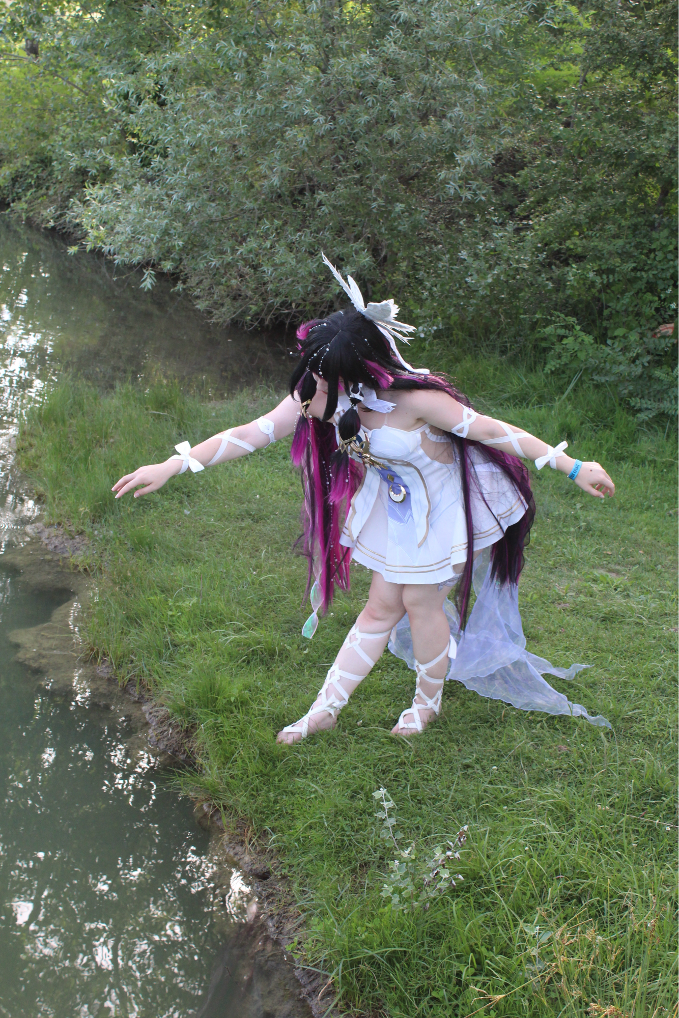Columbina — photo 13