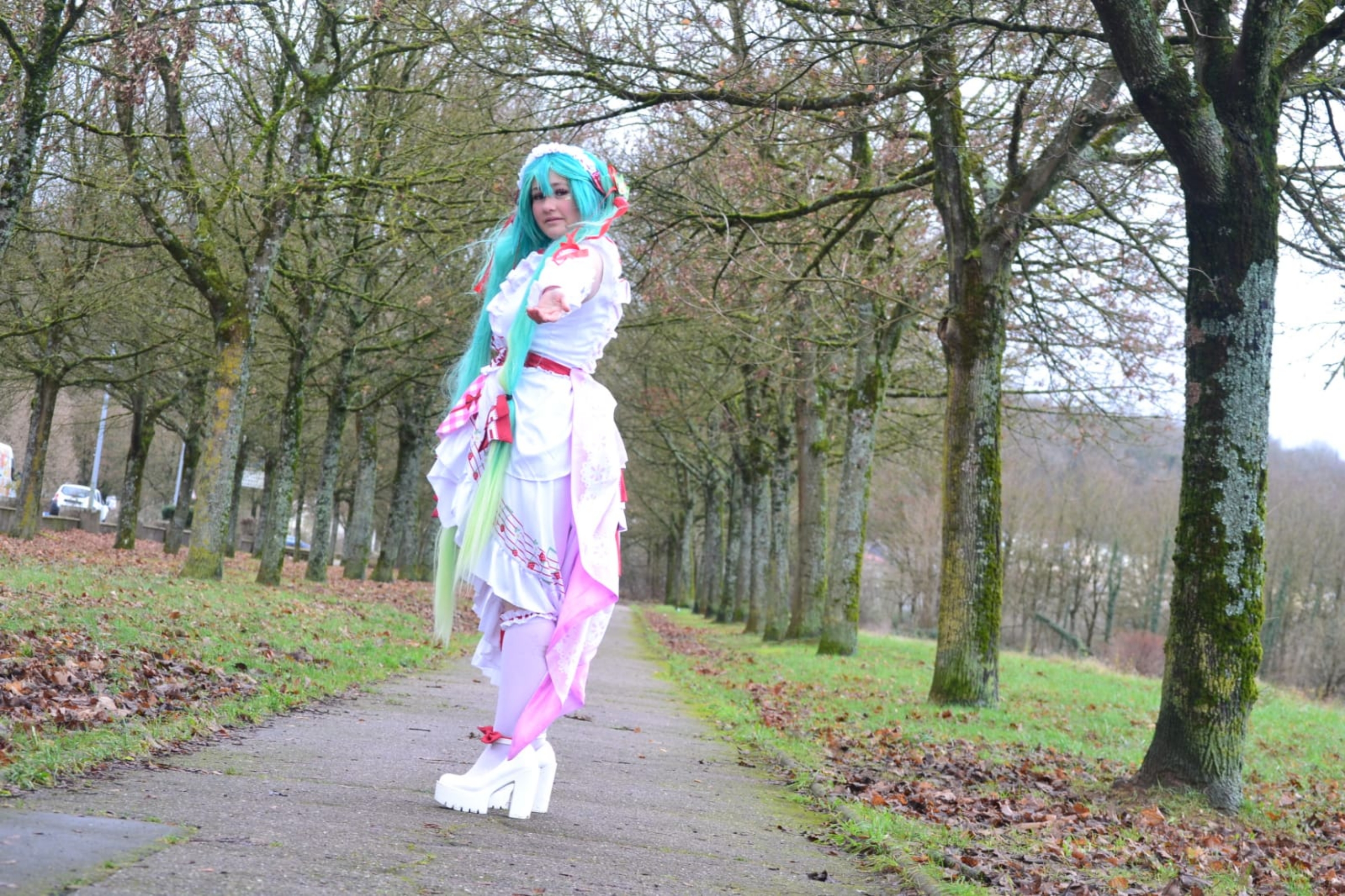 Miku strawberry — photo 11
