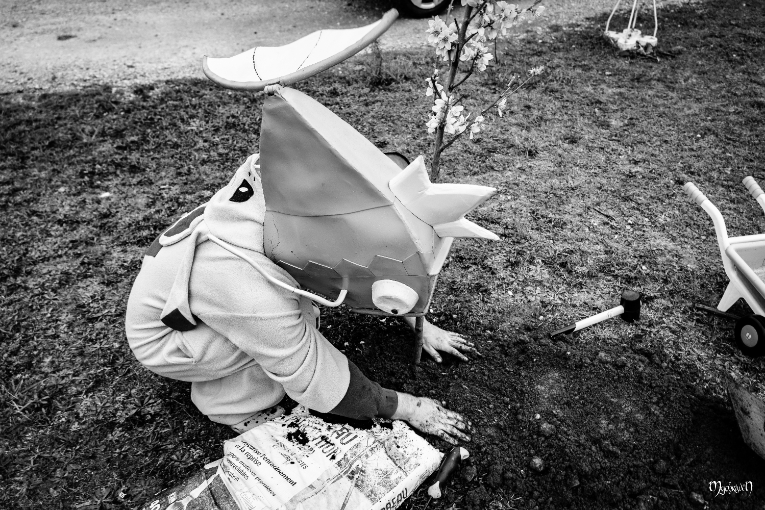 La plantation  - Photo 1