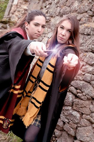 Gryffondor Student