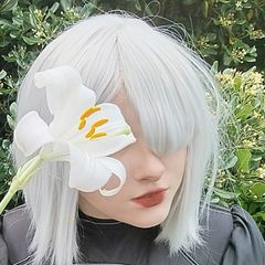 2b preview 2